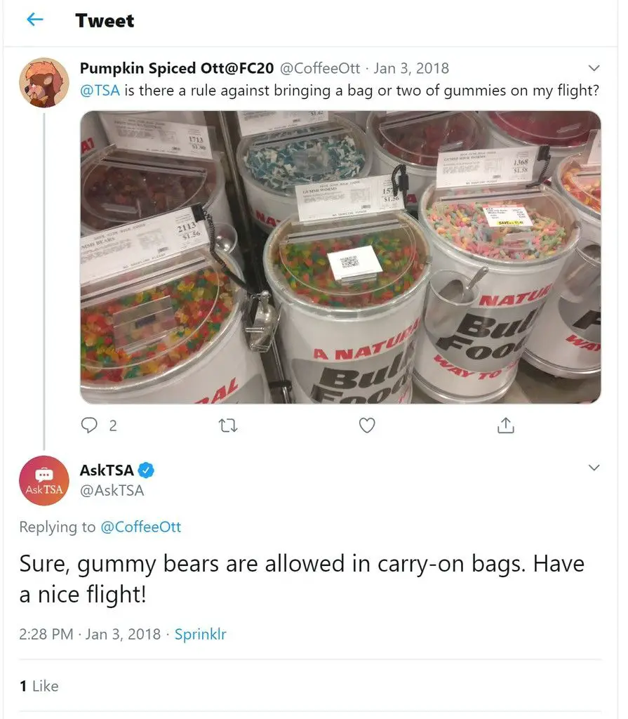 can you bring gummy bears on plane