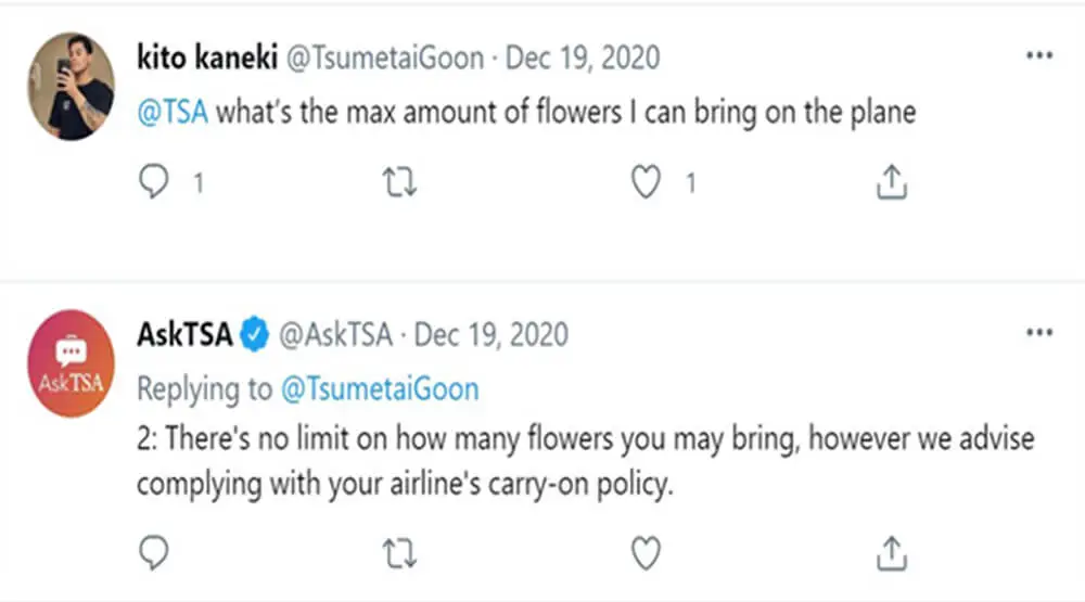 Can you bring flowers on a plane ask tsa