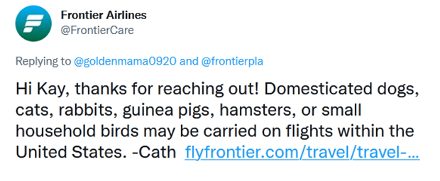 Can-you-bring-guinea-pigs-on-a-plane-05